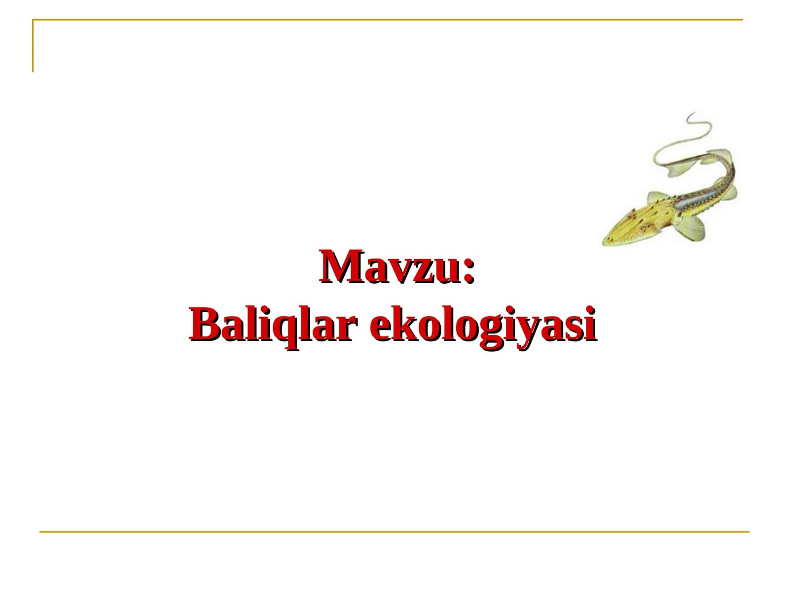 Baliqlar ekologiyasi