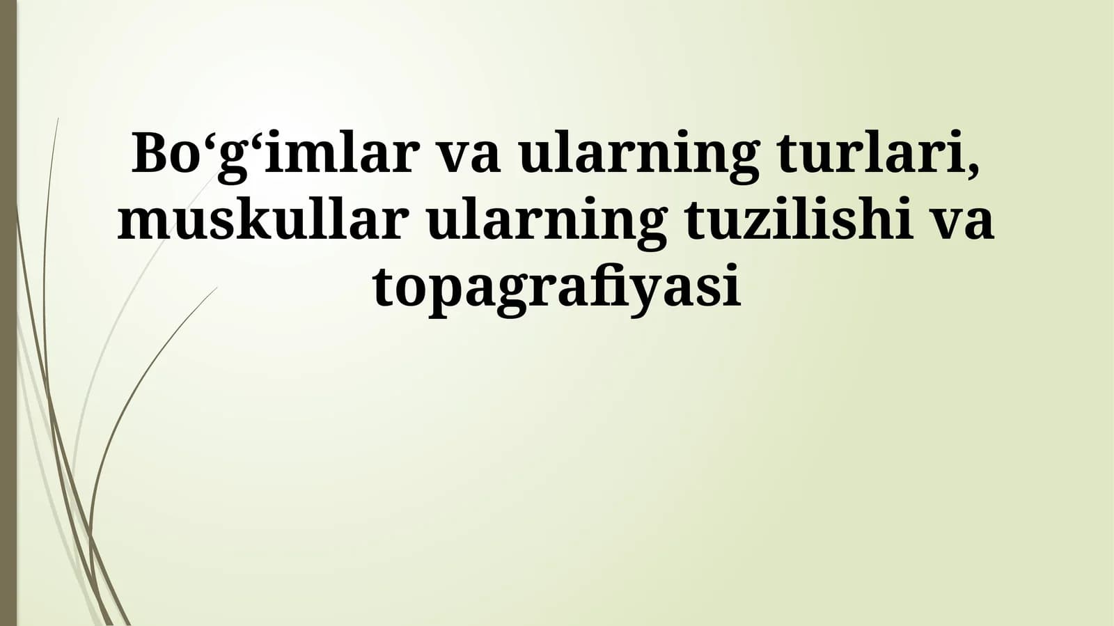 Koʻndalang-targʻil mushaklar