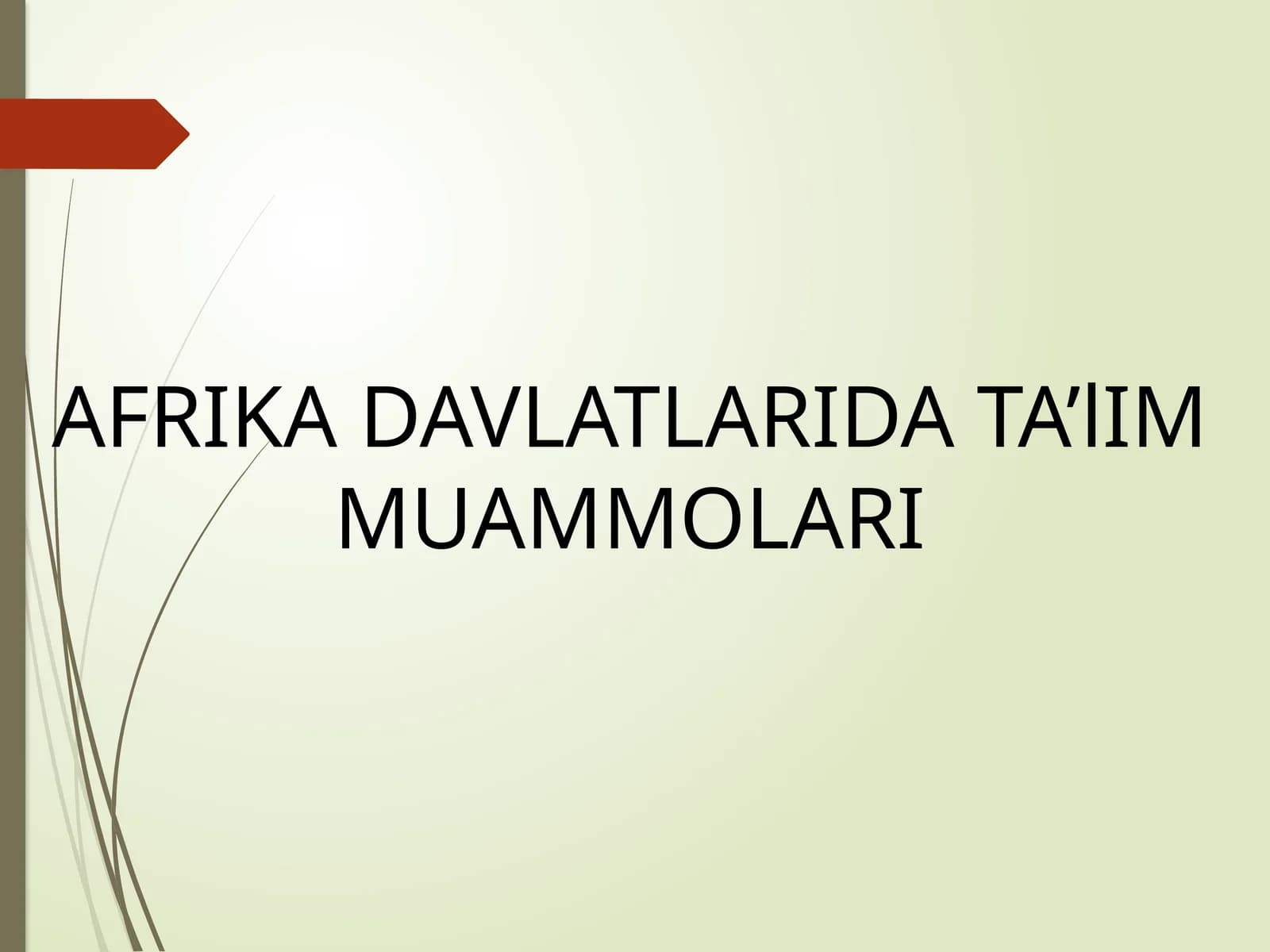 AFRIKA DAVLATLARI TA’LIM MUAMMALARI