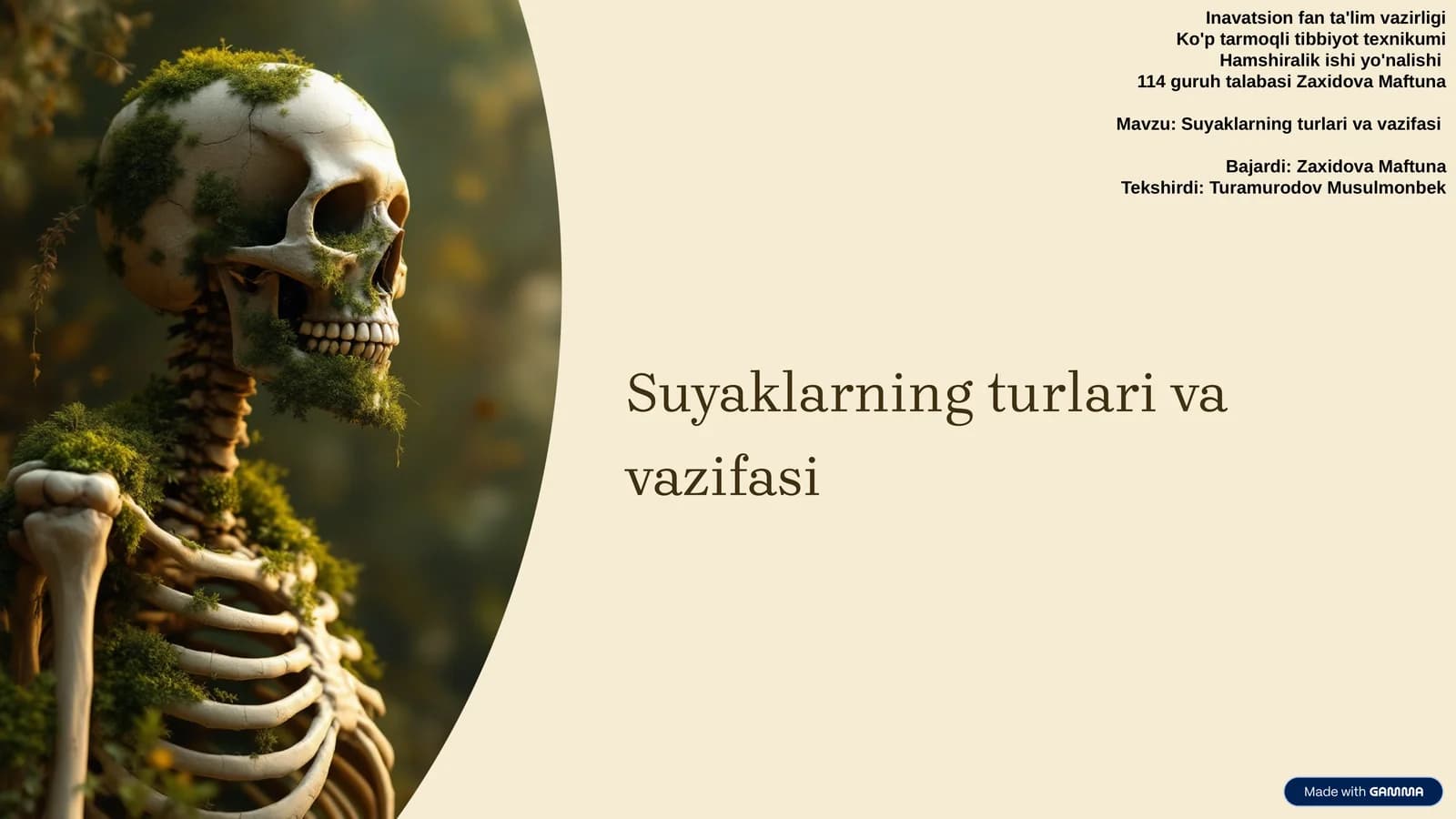 Suyaklarning turlari va vazifasi