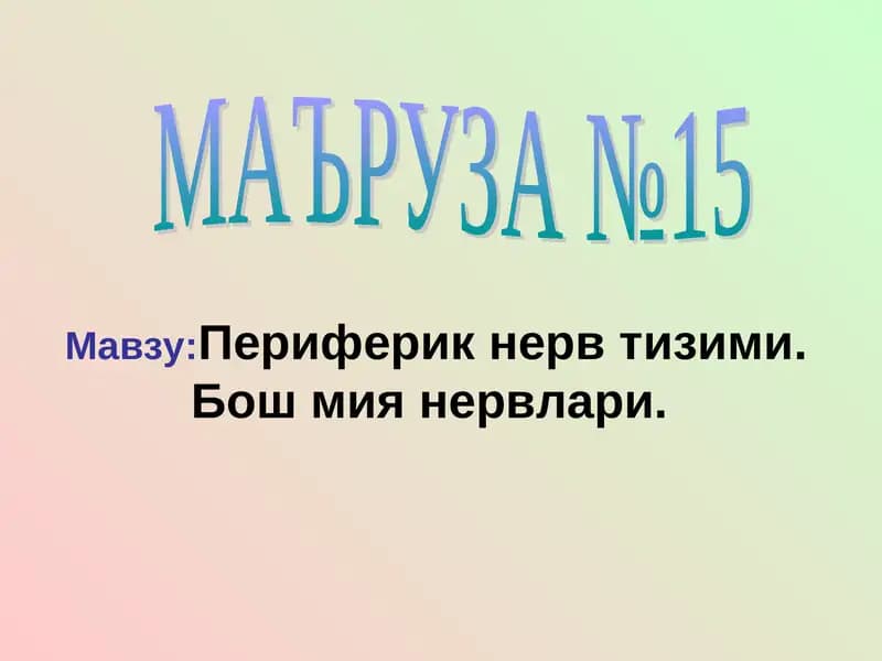 МАЪРУЗА №15