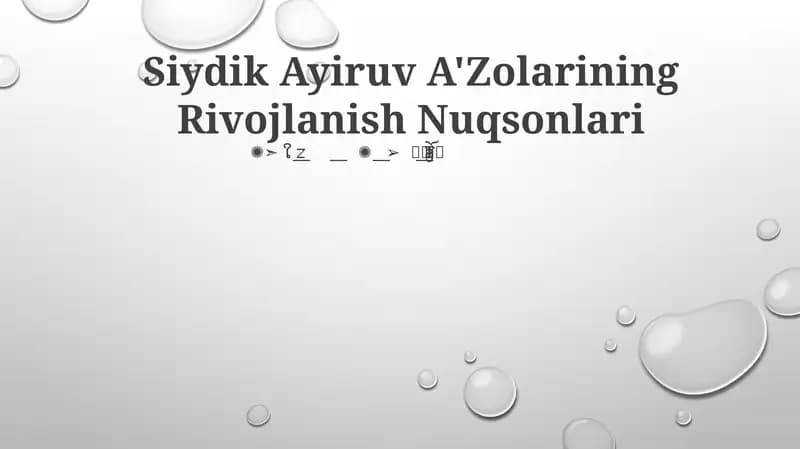 Siydik Ayiruv A'Zolarining Rivojlanish Nuqsonlari