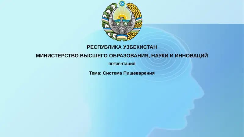 СистемаПищеварения