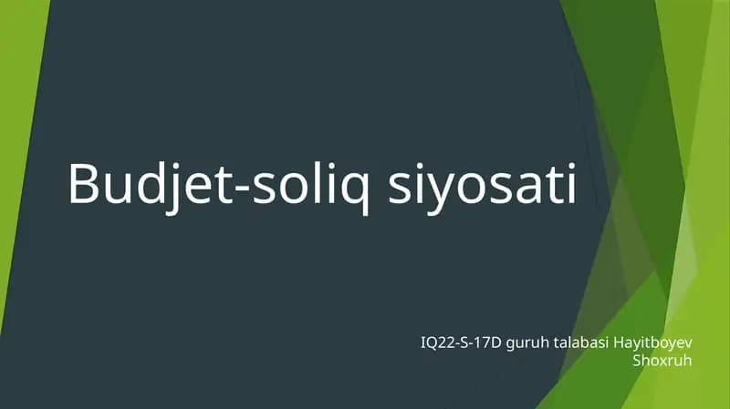 Budjet-soliq siyosati