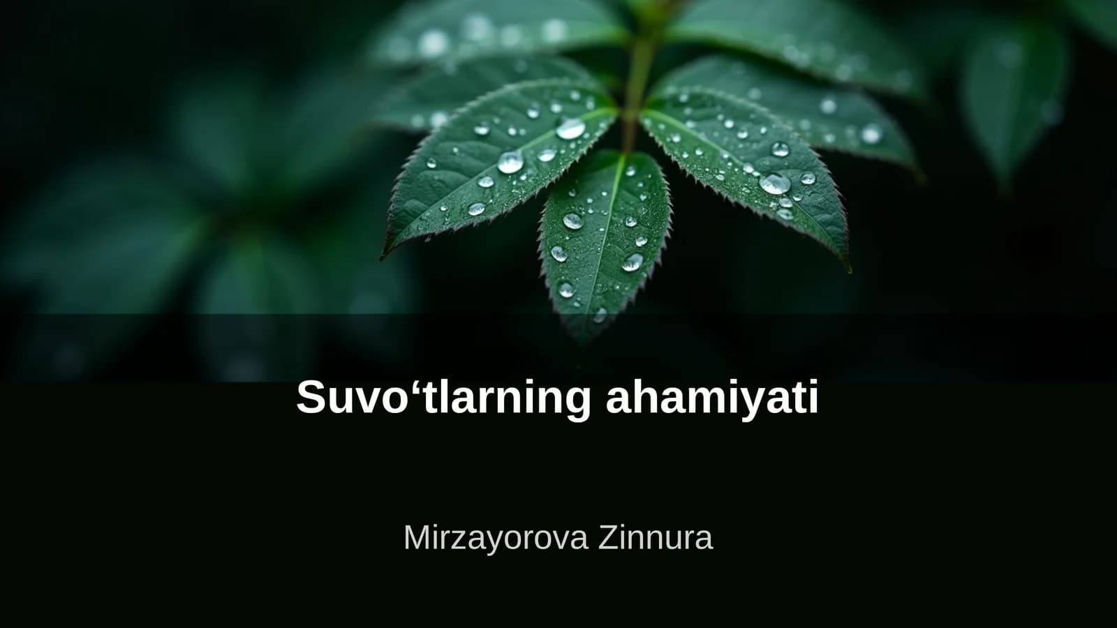 Suvoʻtlarning ahamiyati