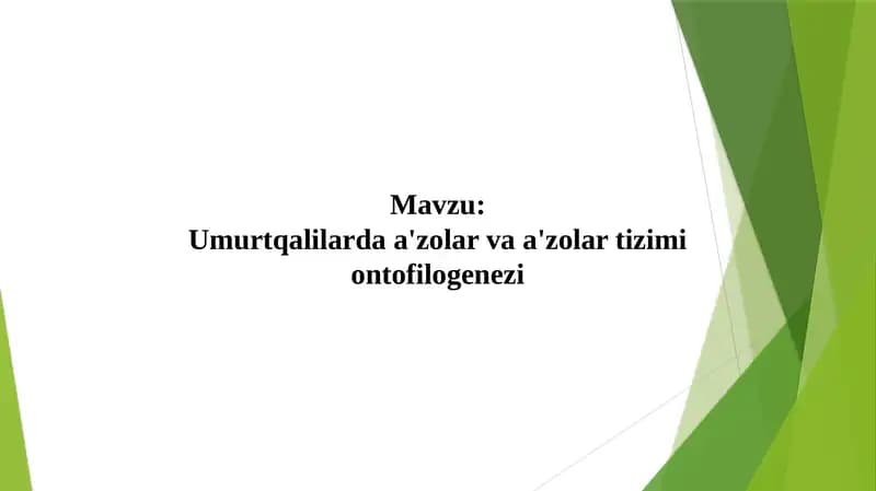 Umurtqalilarda a'zolar va zolartizimi ontogenzi