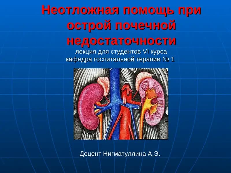 Студентлар учун касб-ҳунаржўм