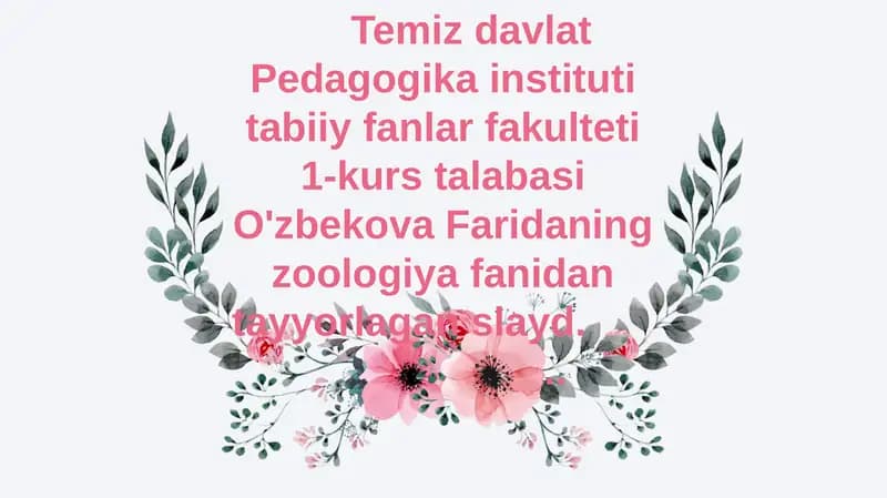Halqali chuvalchanglar