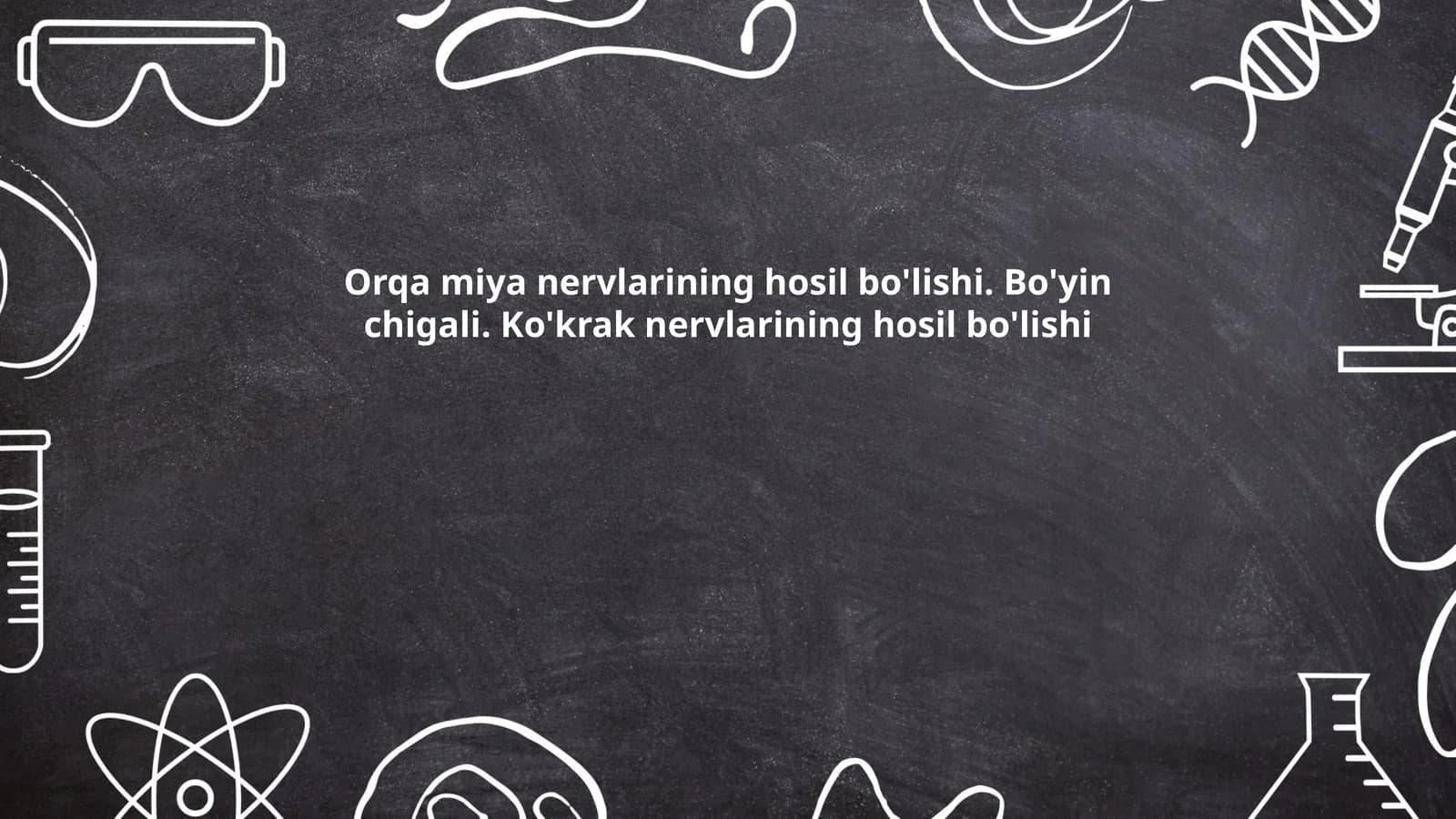 Orqa miya anatomiyasi