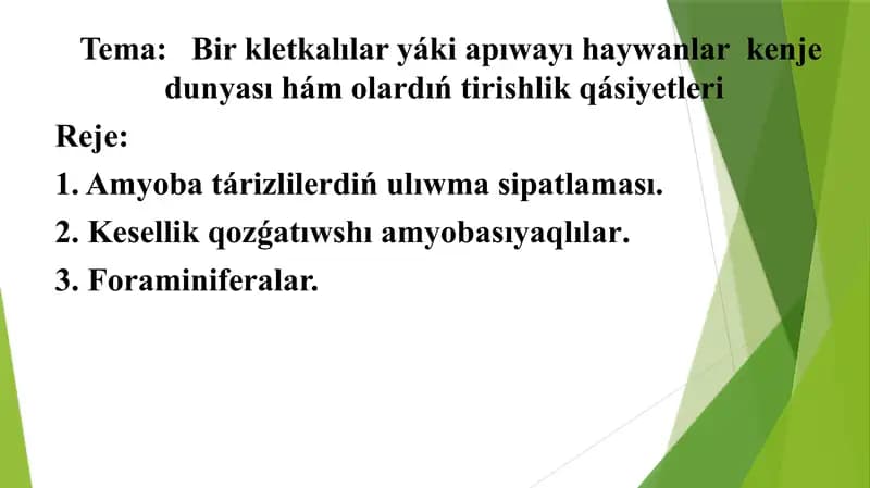 Bir kletkalıLar yáki apıwayı haywanlar kenje dunyası