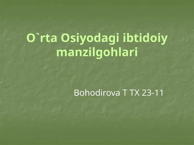 O`rta Osiyodagi Ibtidoiy Manzilgohlari