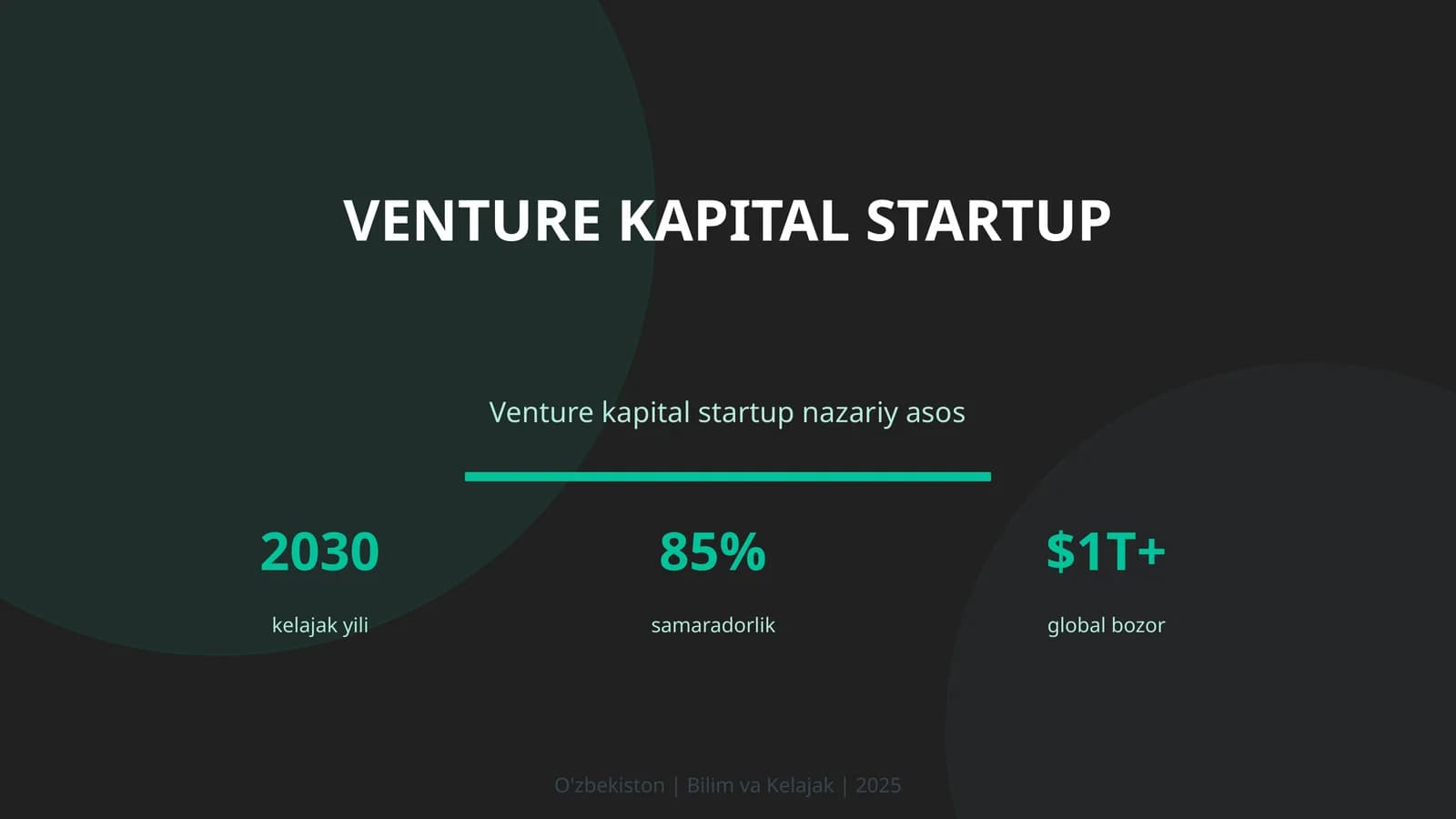 Venture kapital startup