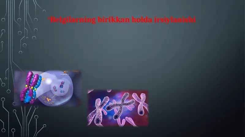 Xromosomalar va urug‘langanlik