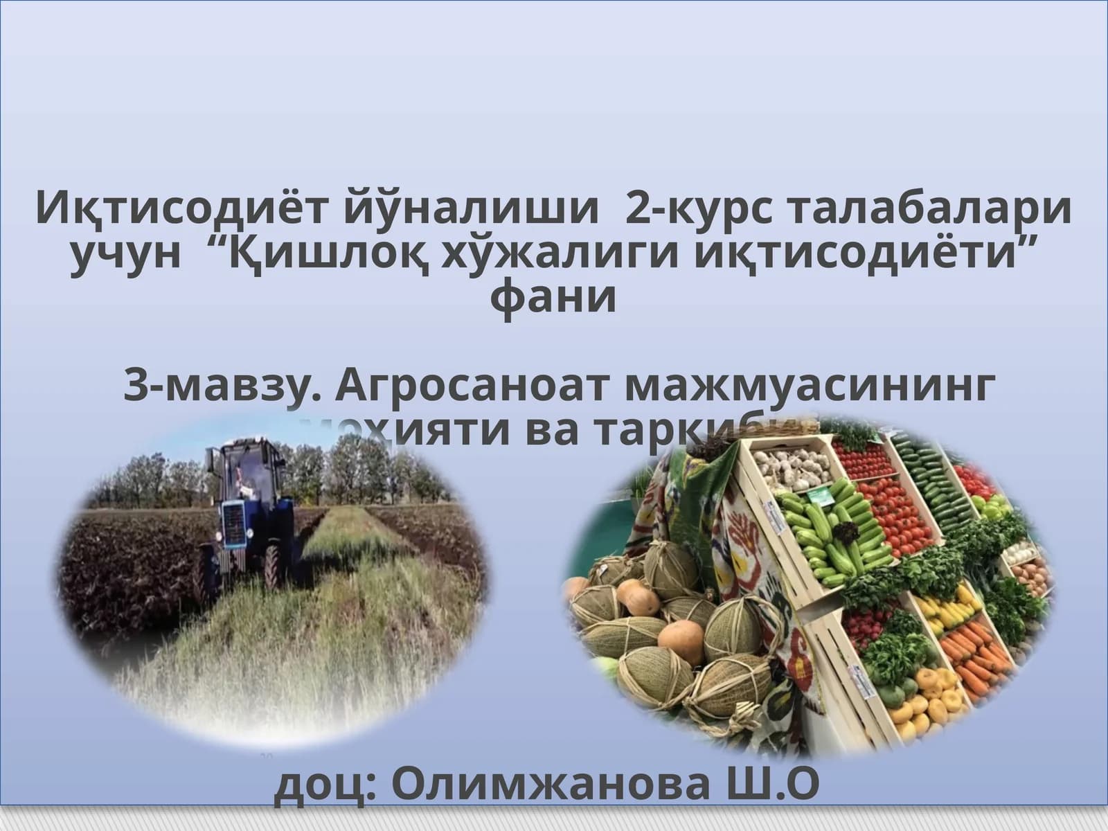 Қишлоқ хўжалиги иқтисодиёти