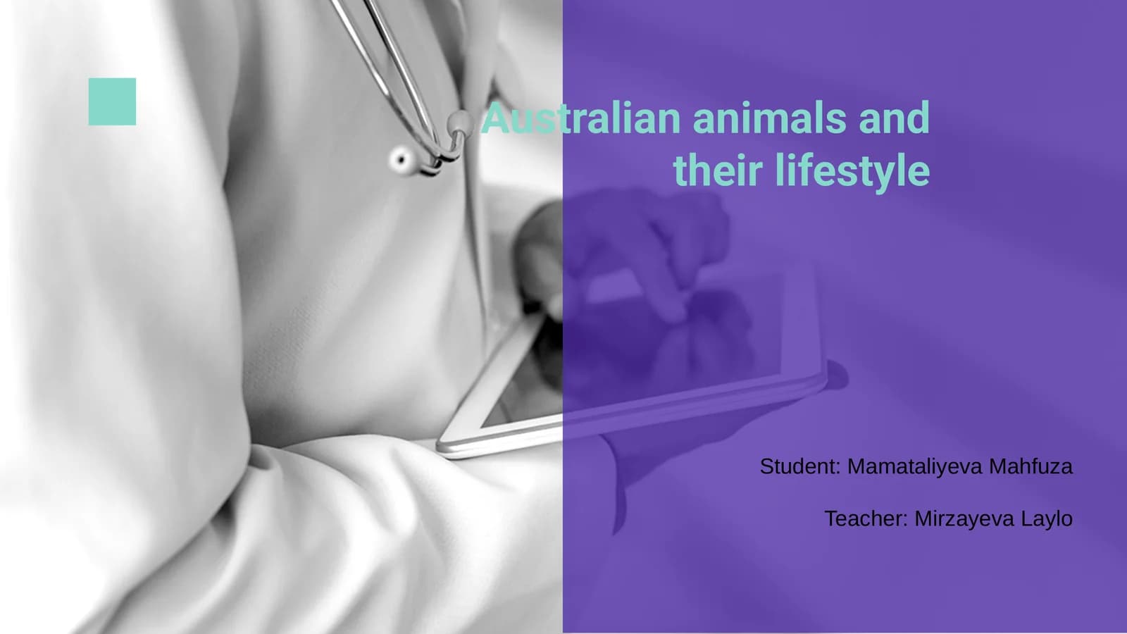 Australian animals and their lifestyle