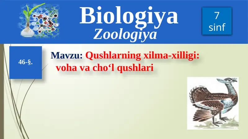 Qushlarning xilma-xilligi
