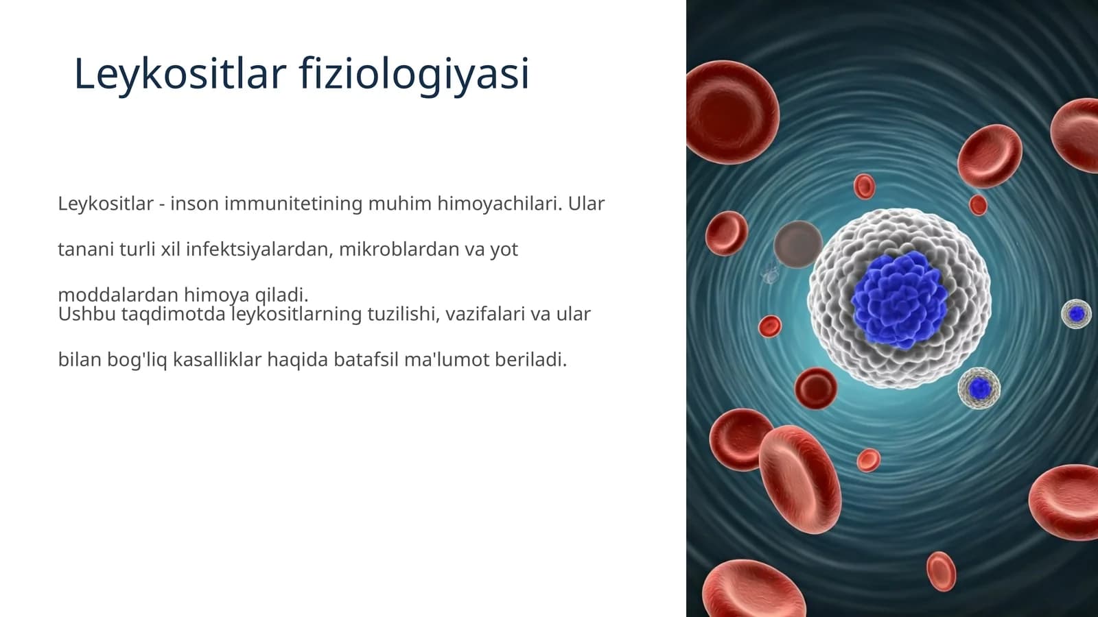Leykositlar fiziologiyasi