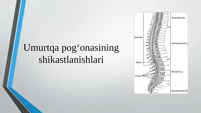 Umurtqa pog‘onasining shikastlanishlari