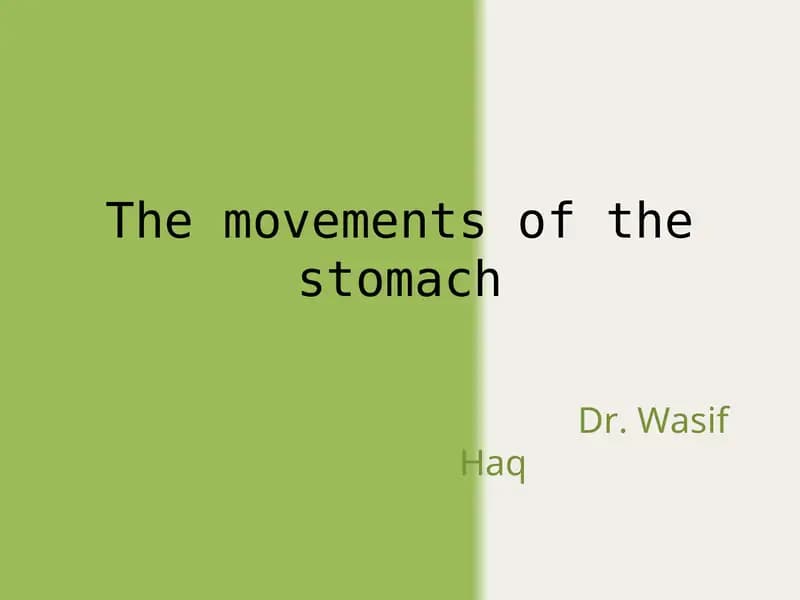 The movements of the stomach