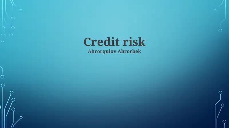 Measuring and Assessing Credit Risk