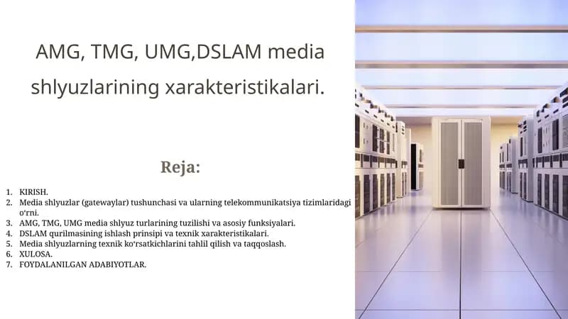 AMG, TMG, UMG,DSLAM media shlyuzlarining xarakteristikalari