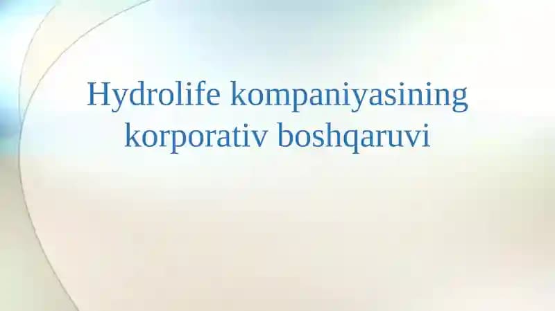 Hydrolife kompaniyasining korporativ boshqaruvi