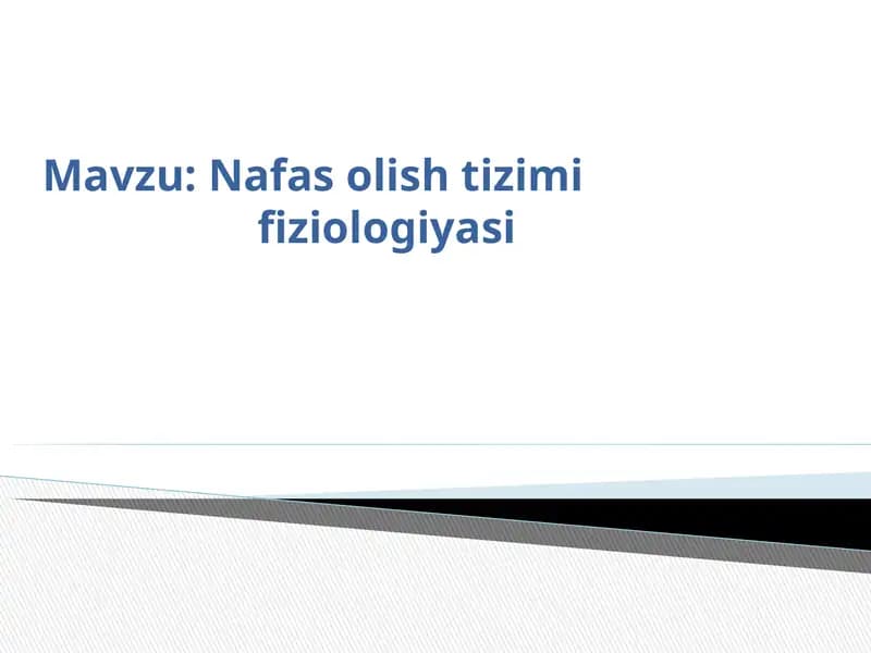Nafas olish tizimi fiziologiyasi.