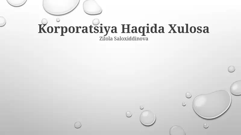 Korporatsiya Haqida Xulosa