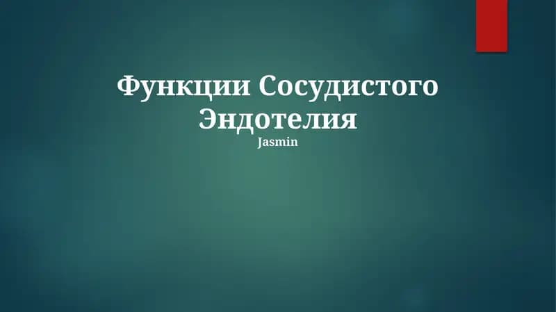Функции Сосудистого Эндотелия