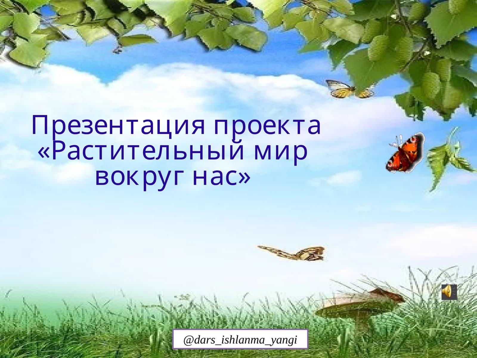 «Растительный мир вокруг нас»
