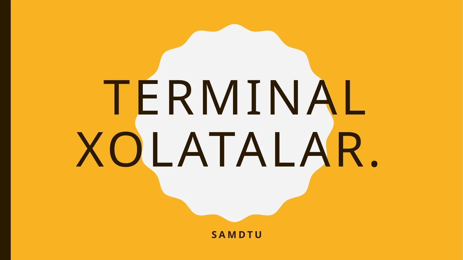 Terminal holatlar