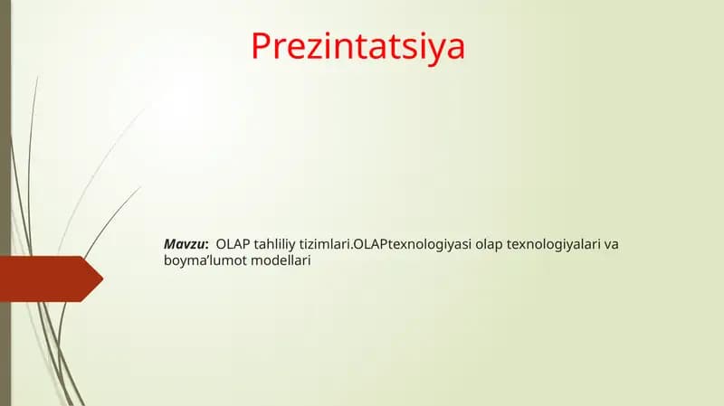 OLAP Tahliliy Tizimlari