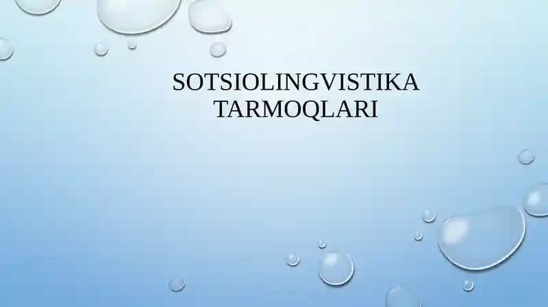 Sotsiolingvistika  tarmoqlari