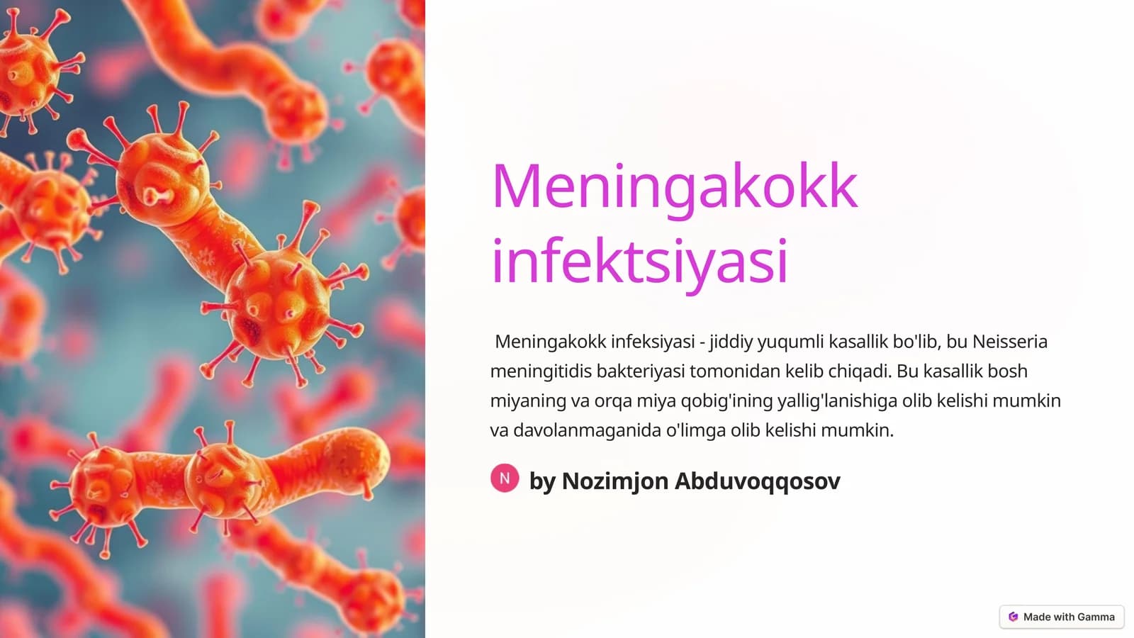 Meningakokk infektsiyasi