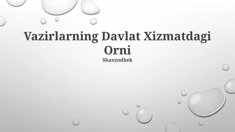 Davlat xizmatlaridagi oʻrni