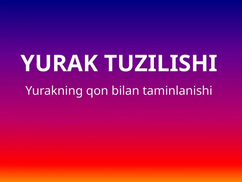 Yuraktuzilishi