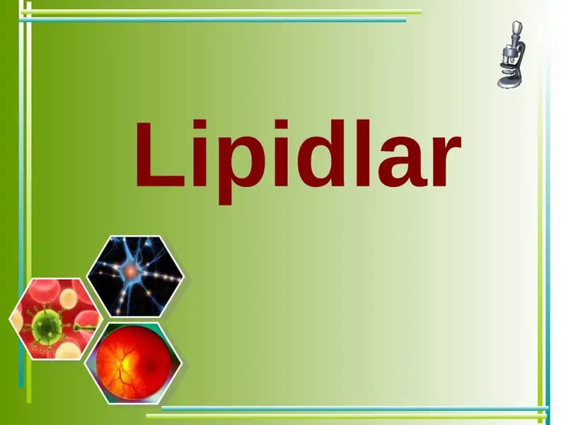 Lipidlar