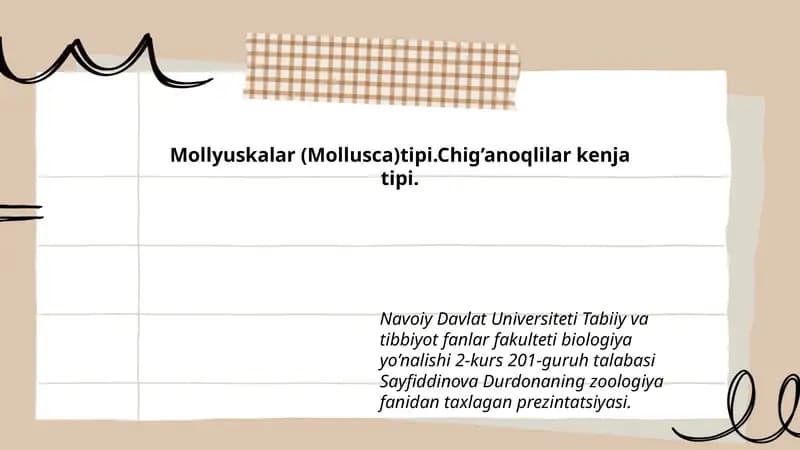 Mollyuskalar (Mollusca)tipi