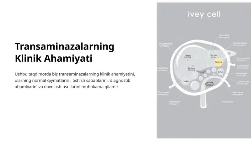 Transaminazalarning Klinik Ahamiyati
