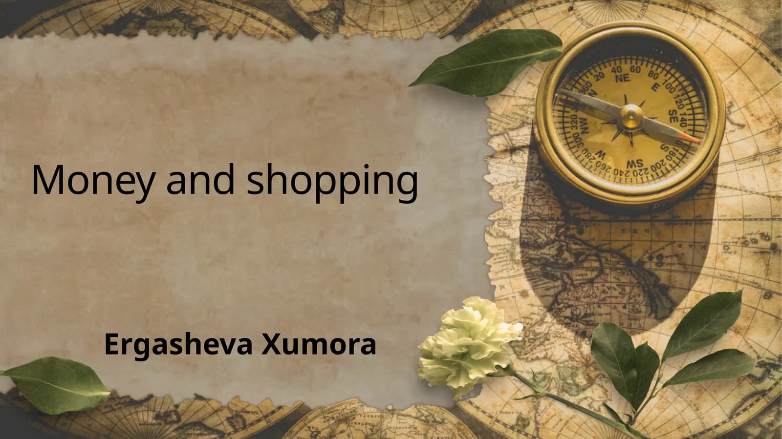 Money and shopping