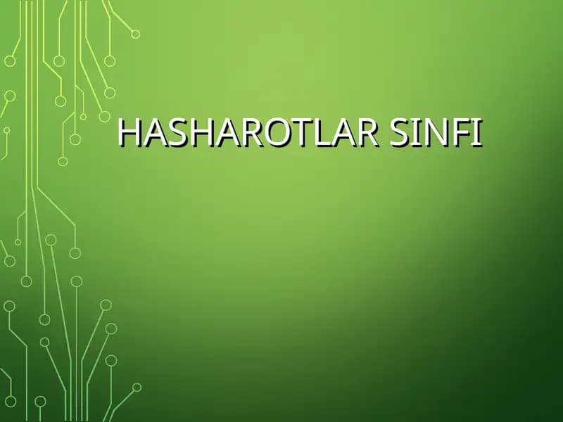 Hasharotlar Sinfi