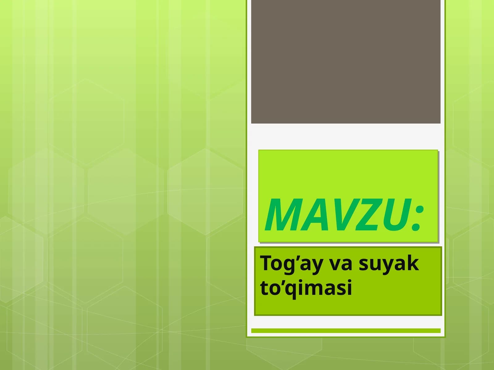 Tog’ay va suyak to’qimasi