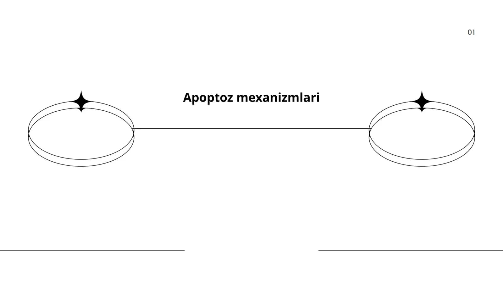 Apoptoz mexanizmlari