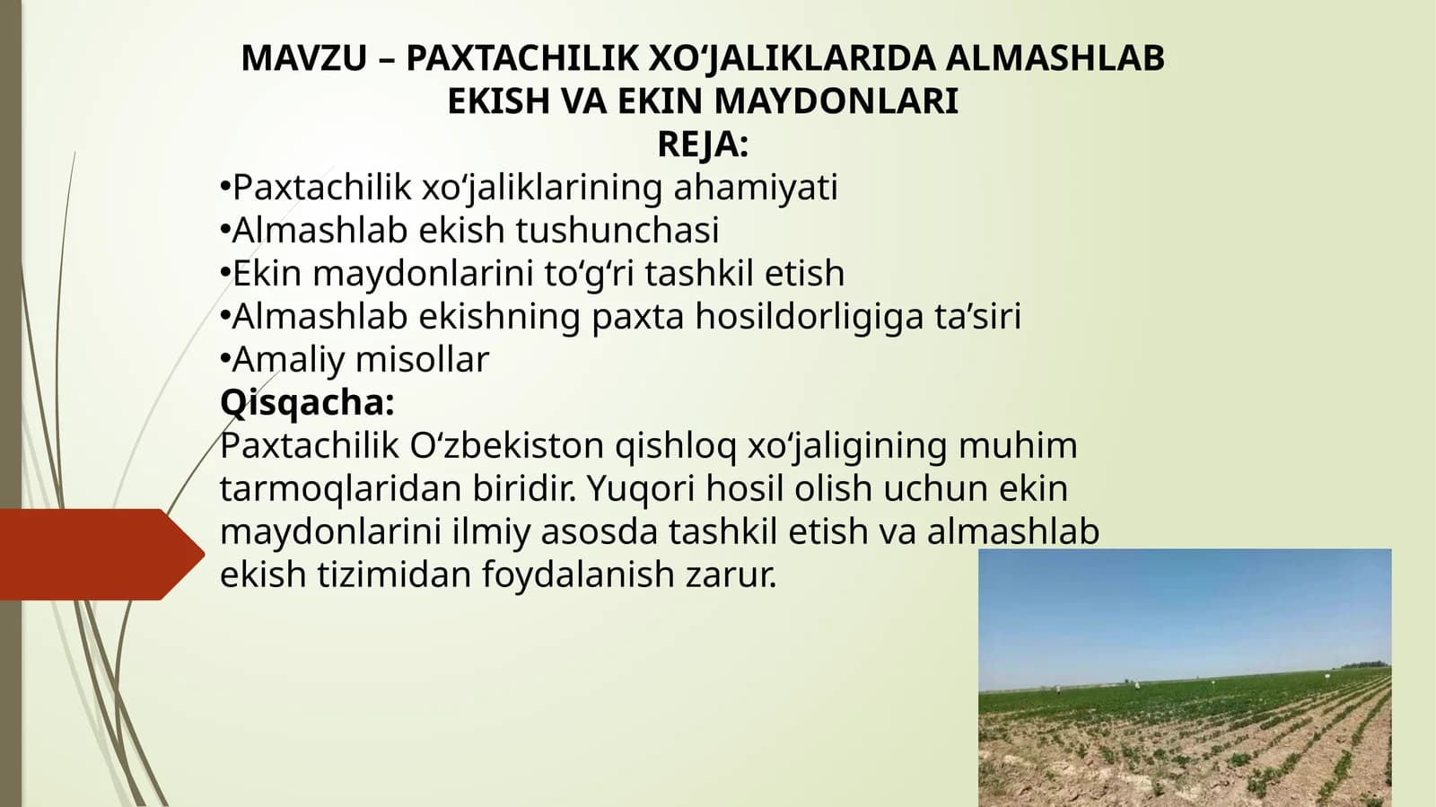 PAXTACHILIK XO‘JALIKLARIDA ALMASHLAB EKISH VA EKIN MAYDONLARI