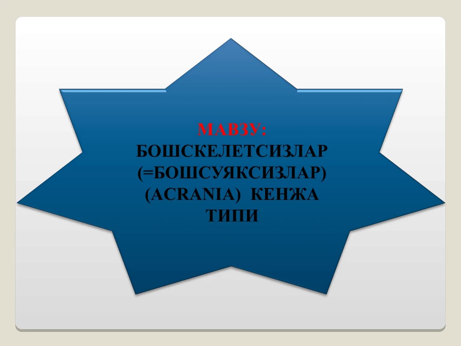 Бошскелетсизлар кенжа типининг умумий тавсифи