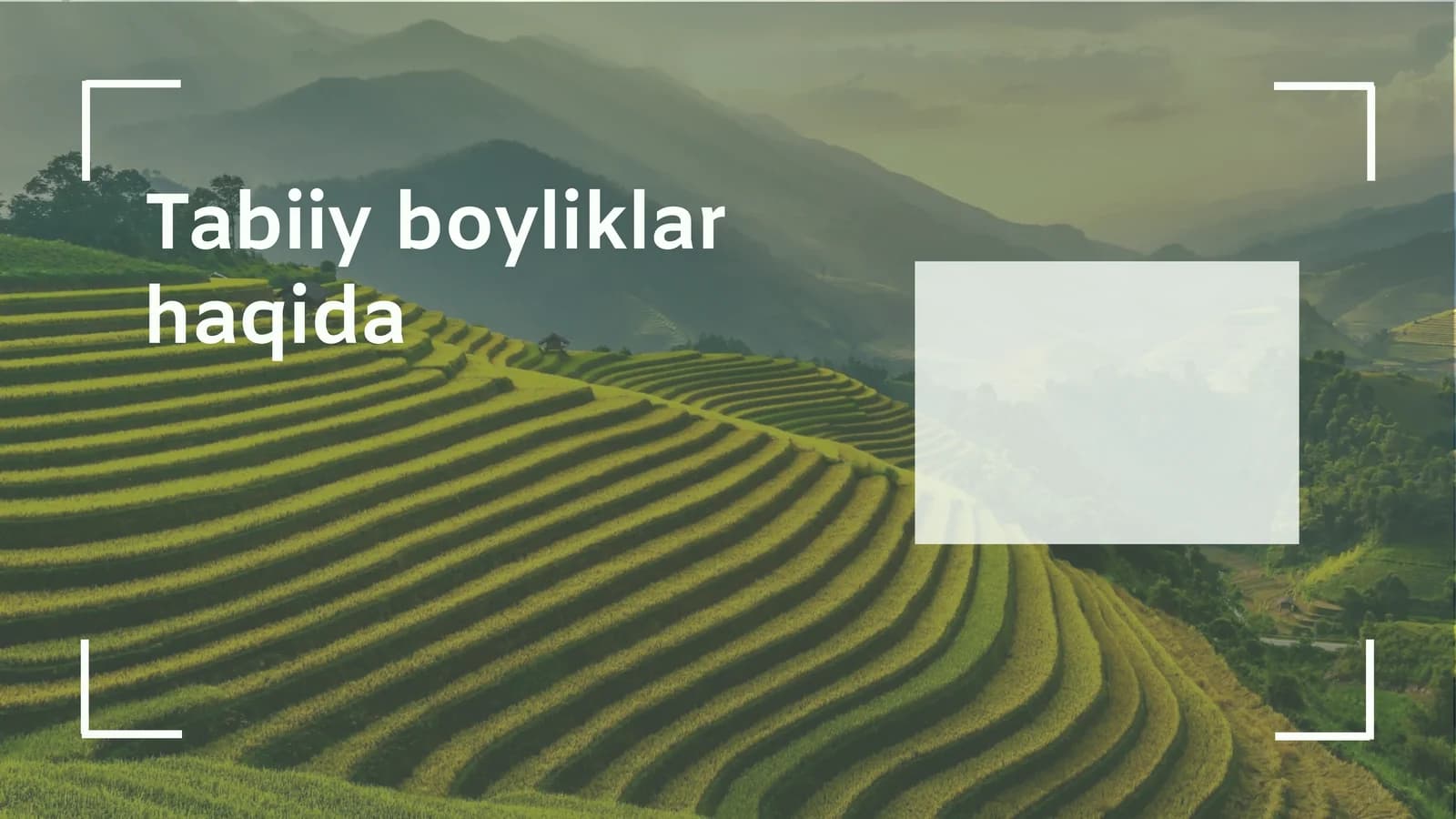 Tabiiy boyliklar