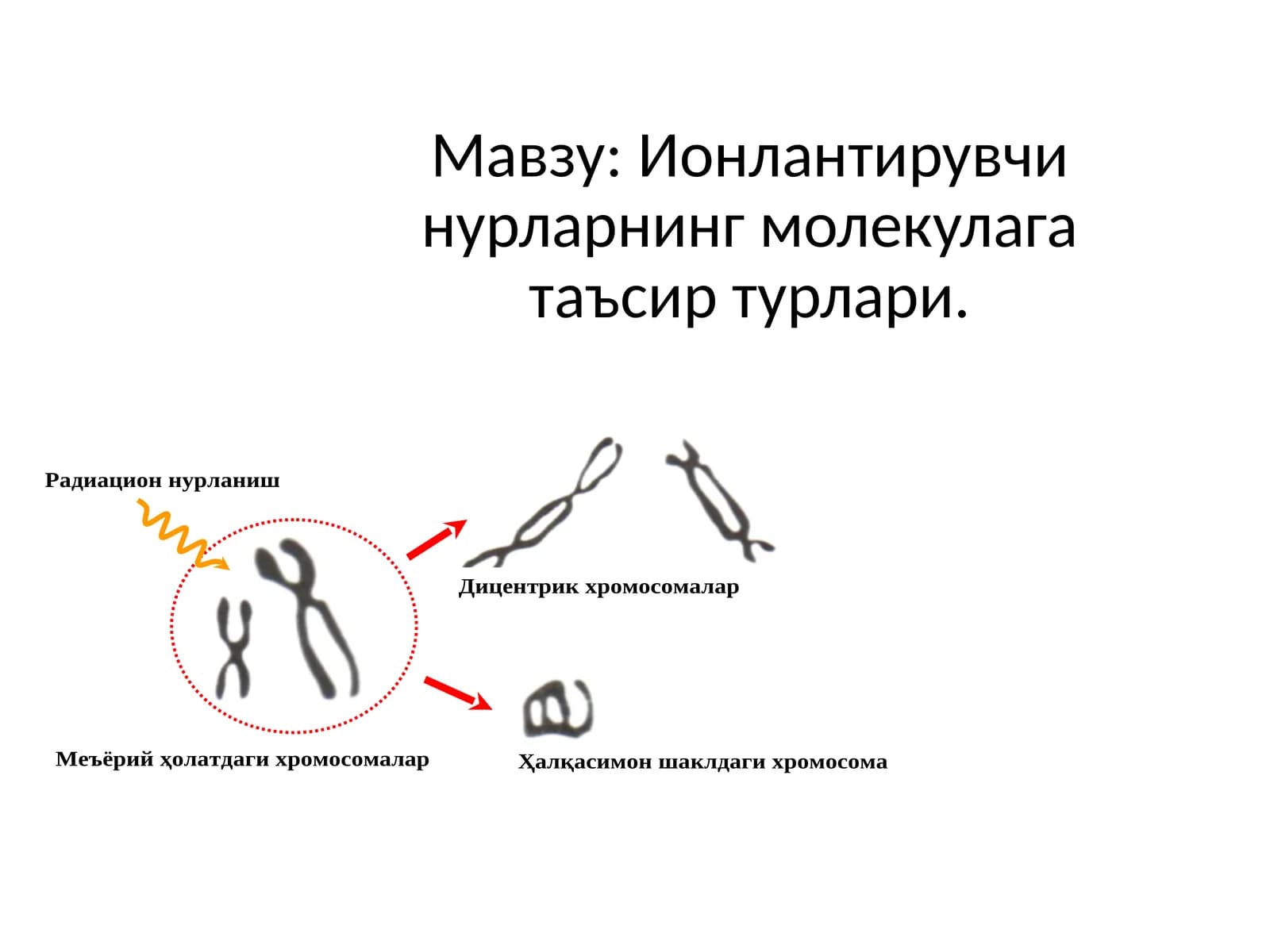 Ионлантирувчи нурларнинг молекулага таъсир турлари