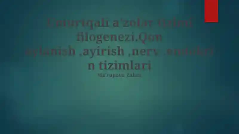 Umurtqali aʼzolar tizimi filogenezi