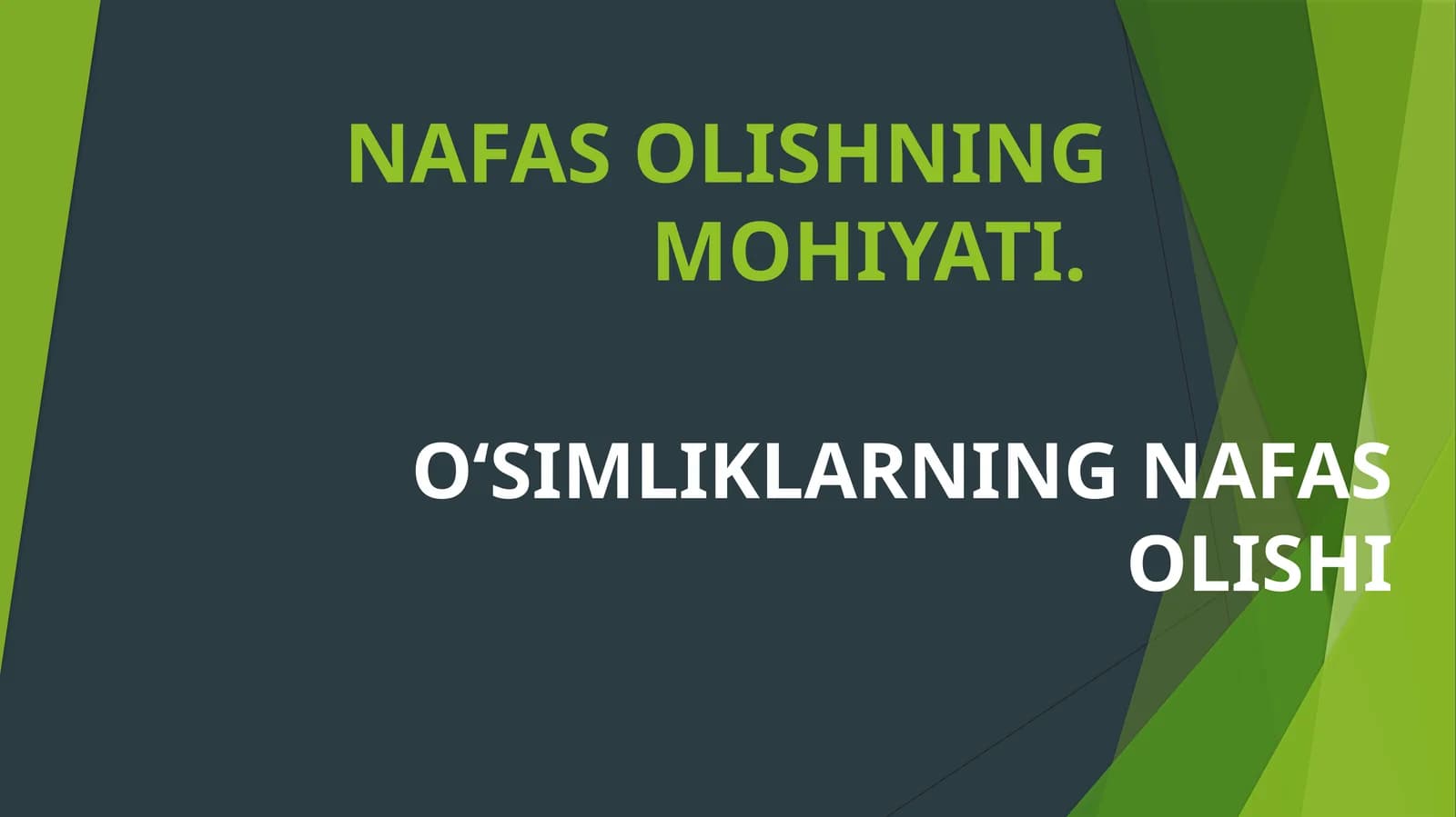 O‘SIMLIKLARNING NAFAS OLISHI