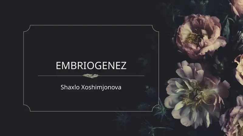 Prezintatsiya Embriogenez (Gistologiya)